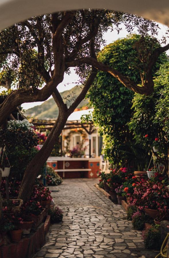 Hotel Villa Maria Sant'Angelo  Экстерьер фото