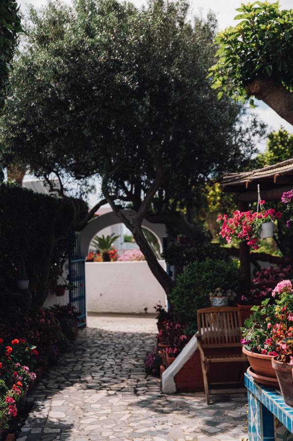 Hotel Villa Maria Sant'Angelo  Экстерьер фото