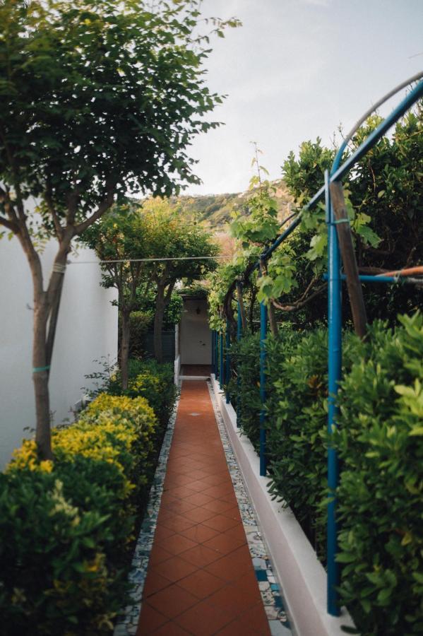 Hotel Villa Maria Sant'Angelo  Экстерьер фото