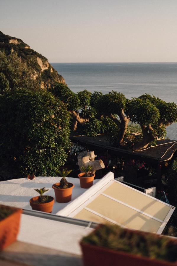 Hotel Villa Maria Sant'Angelo  Экстерьер фото